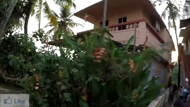 ГОА. ПОДРОБНО ПРО БРИЛЛИАНТЫ В ГОА.