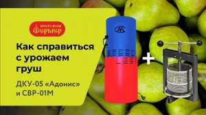 Как справиться с урожаем груш при помощи ДКУ-05 Адонис и соковыжималки СВР-01М Люкс