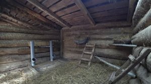 КУПИЛ ХУТОР в ЛЕСУ на КРАЮ БОЛОТА. НОВЫЙ ДОМ для НОВЫХ ЖИЛЬЦОВ ГОТОВ. №189