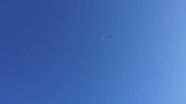 Как выпускать молодых? Нужен ваш совет! 26 06 20г смотреть онлайн