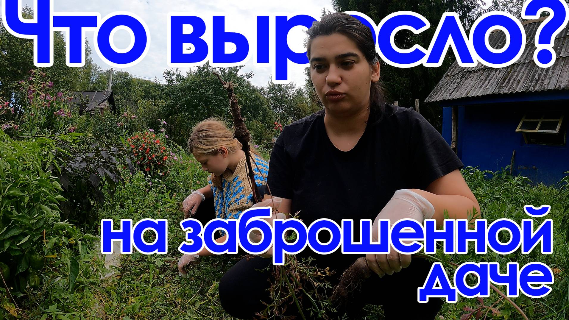 Забросили дачу? Очень острые перцы / Наша ферма.