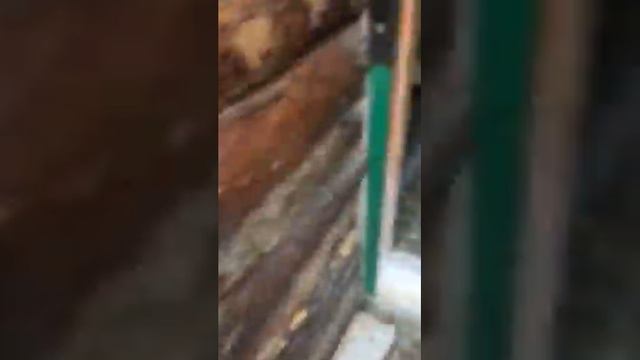 Обзор нашего участка смотреть онлайн