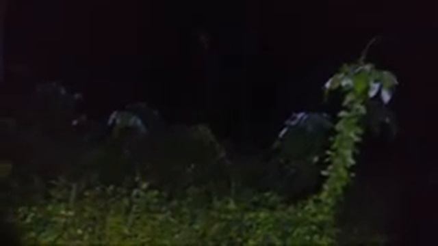 ?LIVE MISTERI MALAM INI || CARI SOSOK GAUN MERAH смотреть онлайн