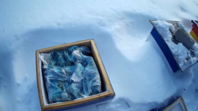 КОРМОВ НЕ ХВАТИТ \\ НАДО ПОДКАРМЛИВАТЬ \\ПЧЕЛОВОДСТВО С НУЛЯ смотреть онлайн