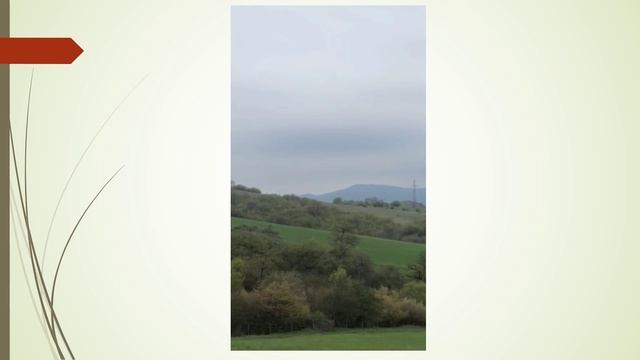 KAREN SAMO ROB KAREN  A