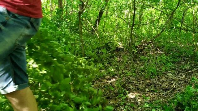 Как сделать землянку в лесу? Делаю землянку в лесу своими руками! #3 смотреть онлайн