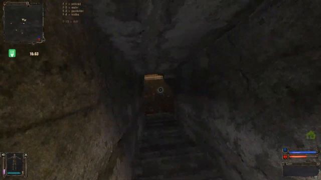 Прохождение S.T.A.L.K.E.R. - Золотой Шар. Завершение #7 Охота на кровососа смотреть онлайн