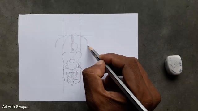 Drawing Class 70 || How to Draw Human Body Organs #humanorgans #viraldrawing #drawing #art #artist смотреть онлайн