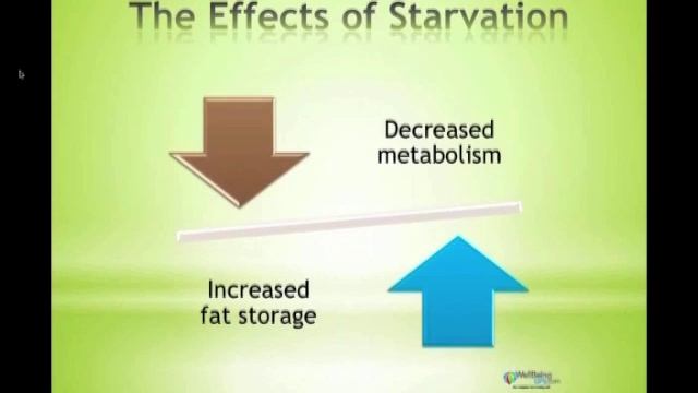 Healthy and Lasting Weight Loss // WellBeingGPS.com смотреть онлайн