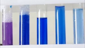 Качественные реакции на белки в сравнении с реакциями на аминокислоты. Химический опыт