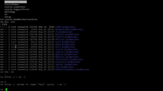 Exadata root filesystem full || make space in Exadata || cleanup exawatcher archive смотреть онлайн