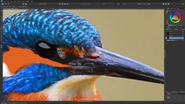 Trace An Image To Vector (Manually) with Affinity Designer смотреть онлайн
