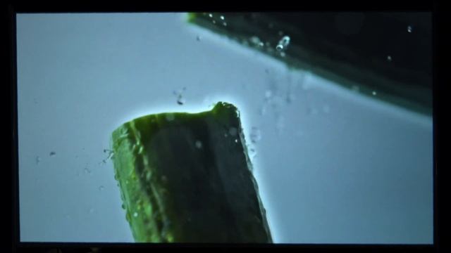 [광고] 가성비 빔프로젝터 KMS 제우스 L1200 화질테스트