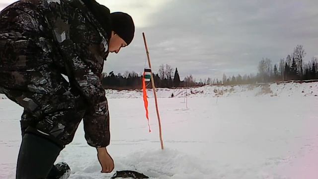 Ловим щуку на рогатки/жерлицы в феврале.В этом карьере некогда скучать!!! 2023.02.01 смотреть онлайн