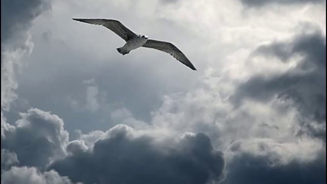 Многоточие - Дыши.mp4 смотреть онлайн