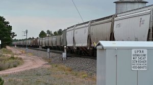 Union Pacific Trains - Mile Post 543.47 - Harriman water tower