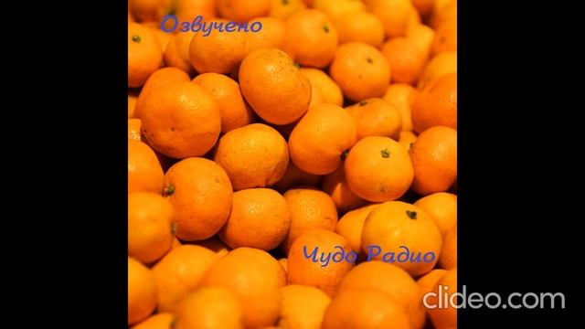 Асеева Новый Год 3 смотреть онлайн
