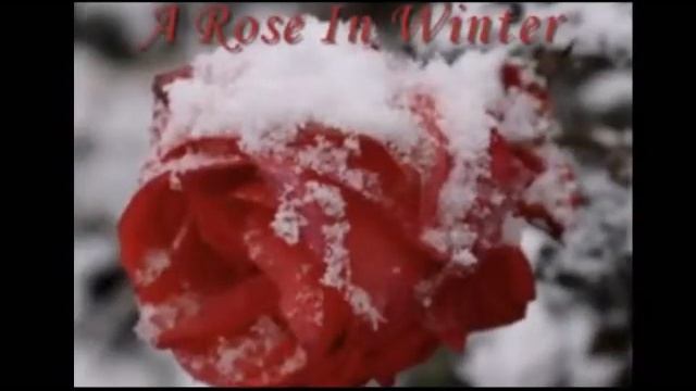 Ангел спаситель - сказка быль смотреть онлайн