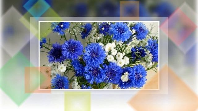 Васильки - мир волшебства неземного! смотреть онлайн