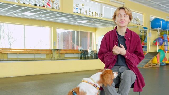 ТОП-5 бесполезных вещей для собак, которые не стоят своих денег! смотреть онлайн