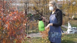 Правильная искореняющая обработка сада  ?