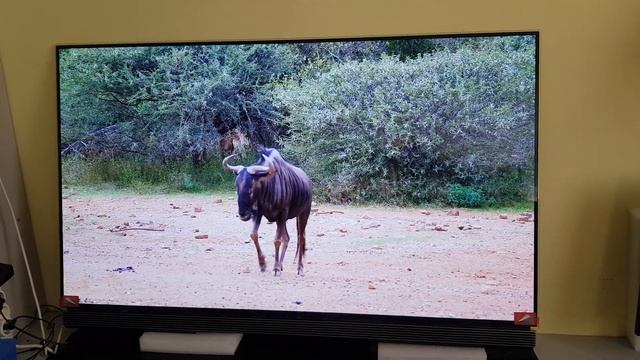 Телевизор 55" LG OLED55E7N с дефектом смотреть онлайн