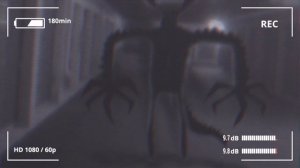 Кто такой Мультяшный Крокодил | Cartoon Crocodile | Ужасы Тревора Хендерсона