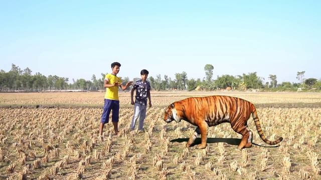 Tui Tui Funny Video 😆tui tui funny challenging comedy video 😆tui tui Funny💪tui tui new video Part-3 смотреть онлайн