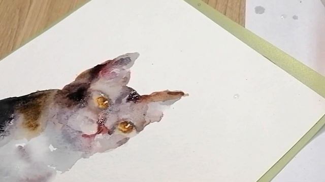 Рисуем КОТА акварелью Елена Гридасова смотреть онлайн