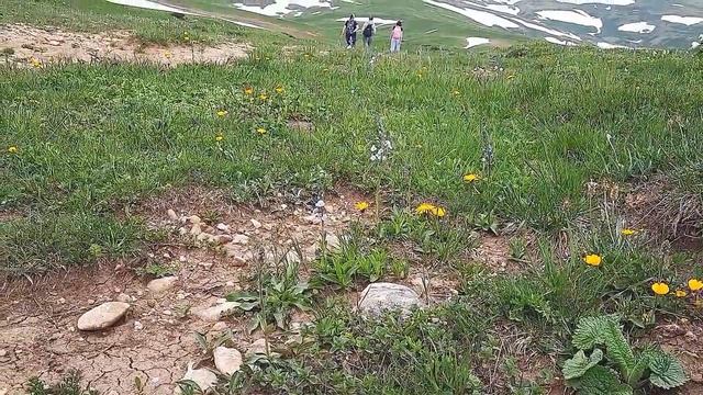 плато Лаго Наки путешествие выходного дня по Краснодарскому краю, водопады на реке Курджипс