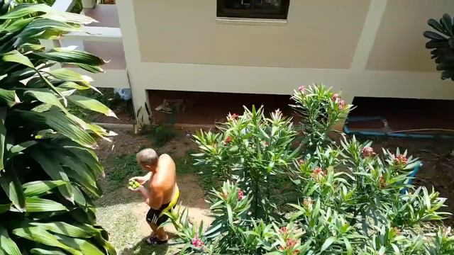 Ko Samui остров Самуи 2015(август)