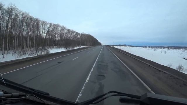 Есть много способов выгнать медведя из берлоги. А загнать, ни одного. смотреть онлайн