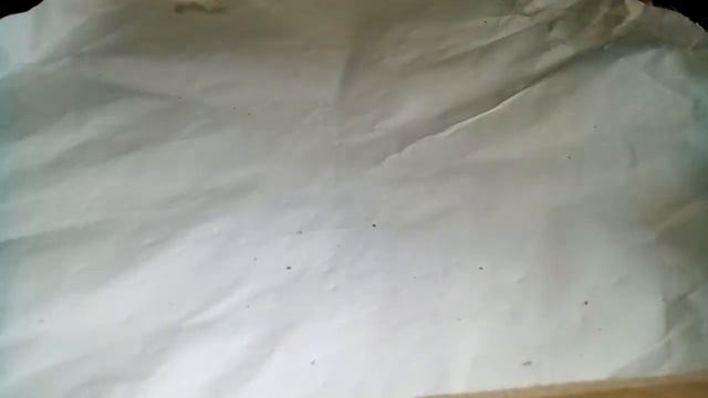 Национальные турниры смотреть онлайн