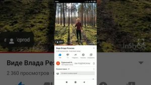 одинокий игги