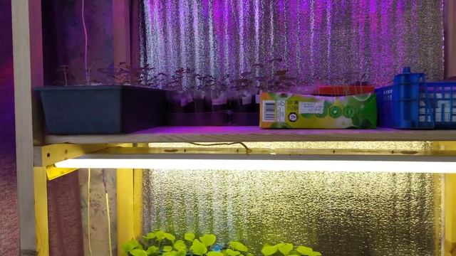 Стеллаж для рассады своими руками. Быстро, просто и не дорого! смотреть онлайн