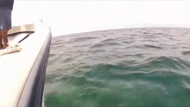 Palau - A day fishing with Erik Vereen смотреть онлайн