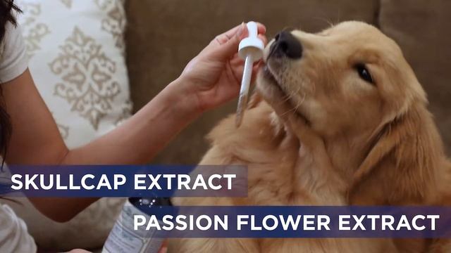 Richard's Organics Pet Calm смотреть онлайн