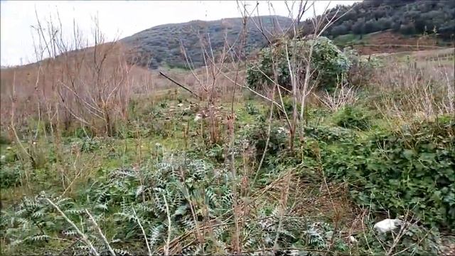 Φράγμα Αποσελέμη смотреть онлайн