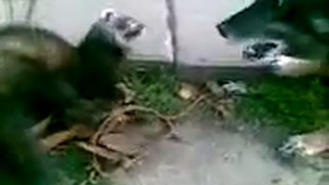 Видео159 смотреть онлайн