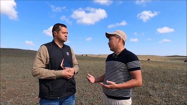 Мясное животноводство Казахстана: какой скот выгодно выращивать в степи