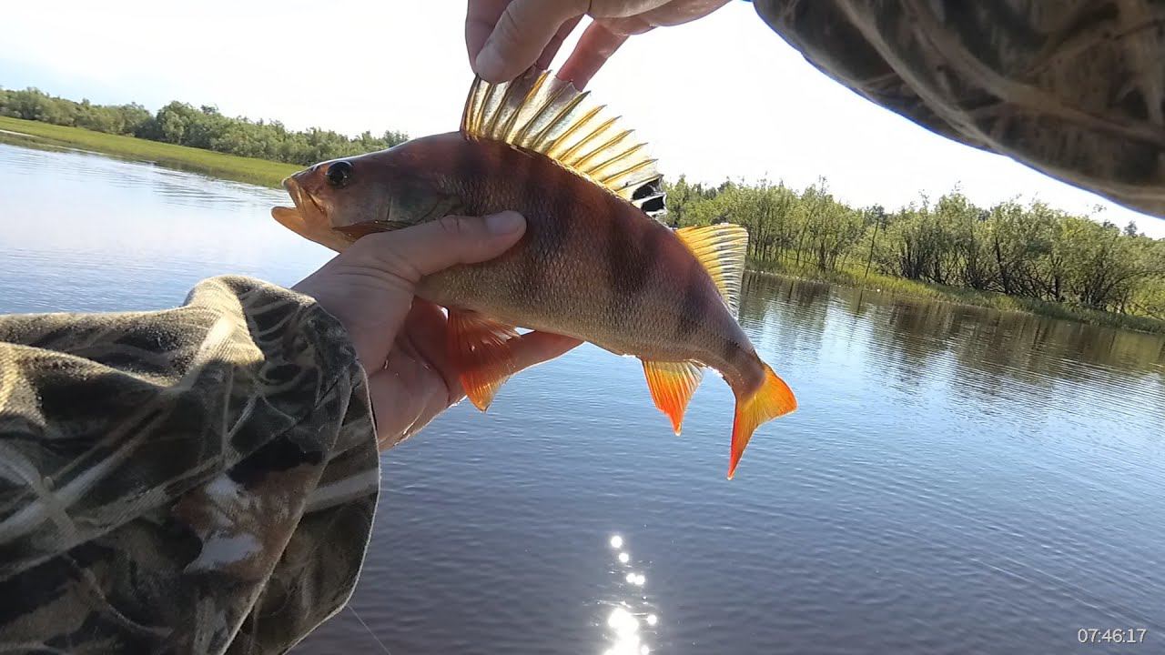 Лучшая рыбалка в ХМАО/ р.Вах /07.2022 смотреть онлайн
