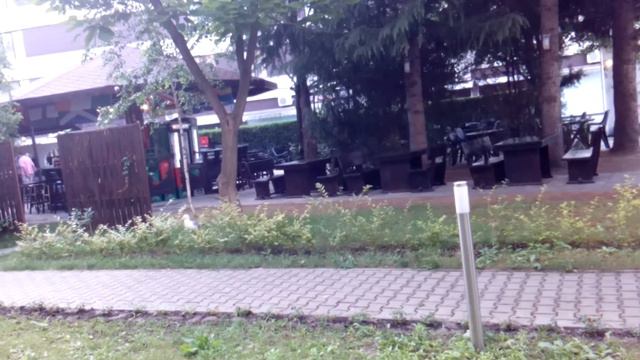 УТРО....ЧТО ЗА ПТИЦА?...БОЛГАРИЯ...отель VILLA MARE смотреть онлайн