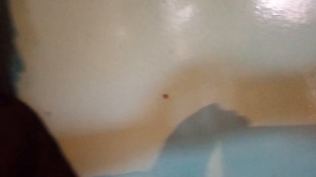 Представляем некоторые фрагменты снятие сегодня после Джума Намазы в селе Пашан Закатальском Регион смотреть онлайн