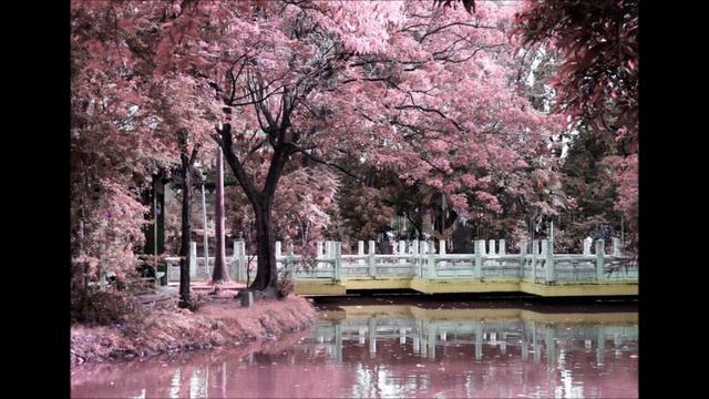 Alexandre Desplat - The painted veil - River waltz & Morning tears 💕 смотреть онлайн