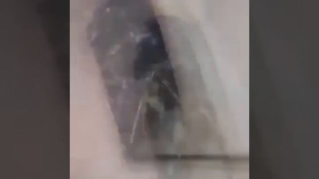 Удаление серной пробки из уха... смотреть онлайн