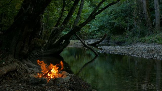 4K Campfire by the River - Relaxing Fireplace & Nature Sounds - Robin Birdsong смотреть онлайн