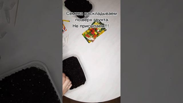 Посев на рассаду петунии ампельной, бегонии клубневой, виолы ампельной.