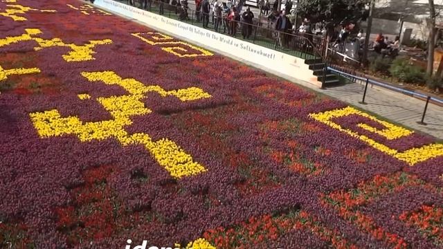 Фестиваль тюльпанов 2015 в Стамбуле: самый большой в мире ковер из тюльпанов смотреть онлайн