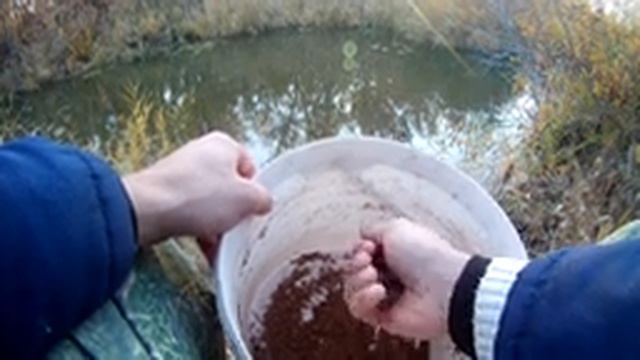 Осенняя ловля плотвы!!! смотреть онлайн