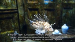 О городе Лион во Франции: достопримечательности на карте, как добраться